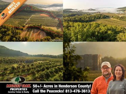 Hunting Land for sale in Henderson County, North Carolina