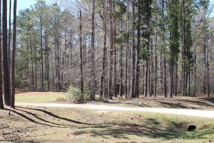Property for sale in Lee County, Alabama