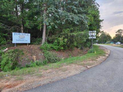 Property for sale in Butler County, Alabama