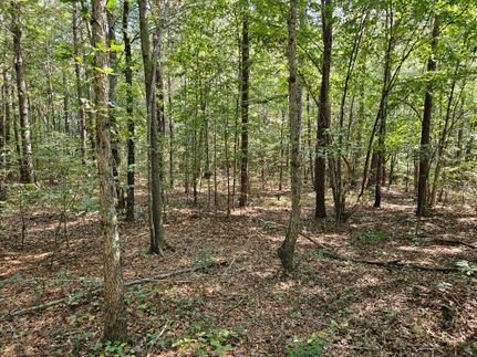 Property for sale in Etowah County, Alabama