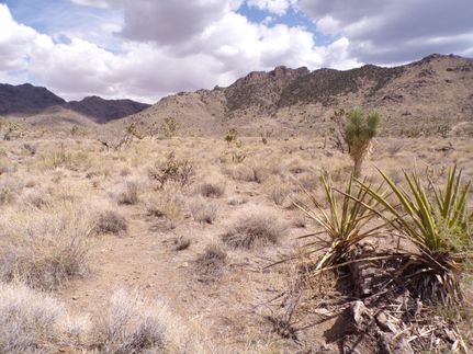 Property for sale in Mohave County, Arizona