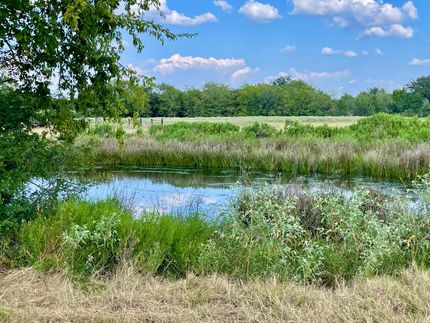 Undeveloped Land for sale in Madison County, Texas