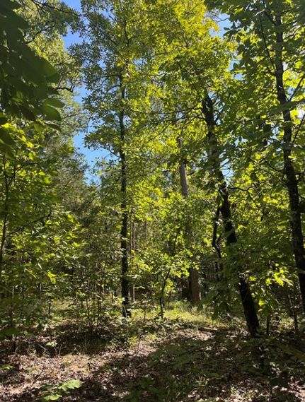 Property for sale in Latimer County, Oklahoma