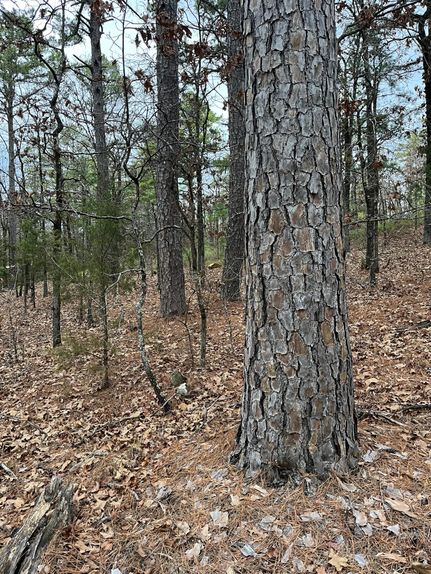 Property for sale in Le Flore County, Oklahoma