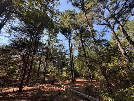 Hunting Land for sale in Hopkins County, Texas