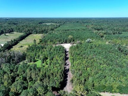Hunting Land for sale in Cumberland County, North Carolina