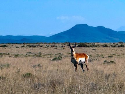Ranch Property for sale in Costilla County, Colorado