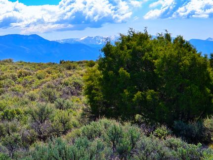 Property for sale in Taos County, New Mexico