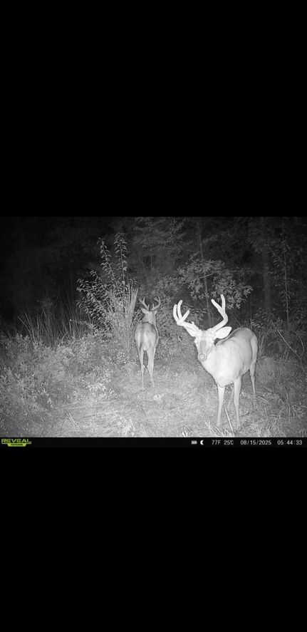 Property in Clay County, Georgia