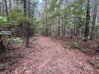 Undeveloped Land for sale in Webster Parish, Louisiana