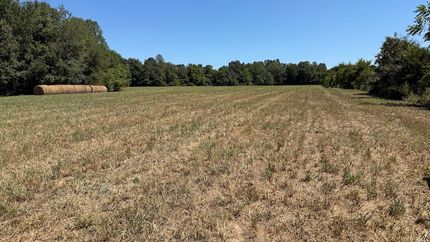 Property for sale in Adair County, Kentucky