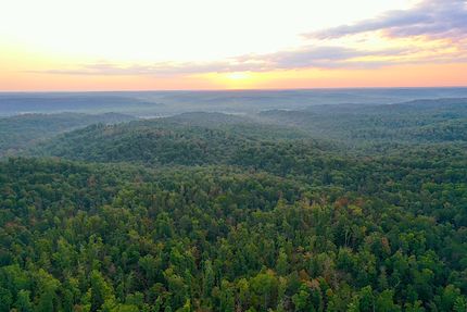 Undeveloped Land for sale in Wayne County, Missouri