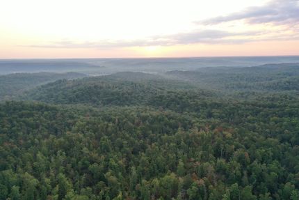 Timberland Property for sale in Wayne County, Missouri