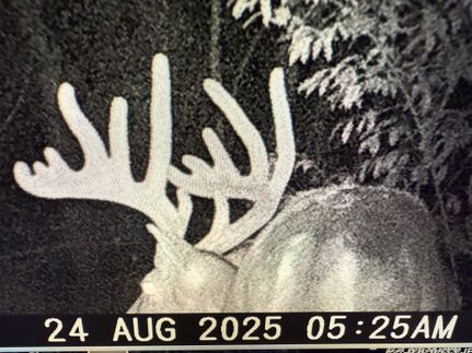 Property in Saline County, Illinois