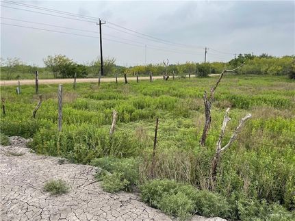 Property in Cameron County, Texas