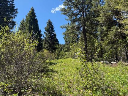 Undeveloped Land for sale in Missoula County, Montana