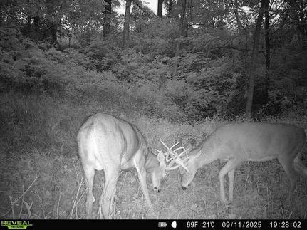 Undeveloped Land for sale in Richland County, Wisconsin