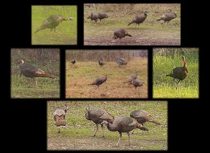 Property for sale in Panola County, Mississippi