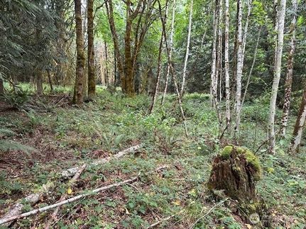 Property in Mason County, Washington