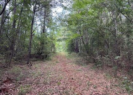 Property for sale in Butler County, Alabama