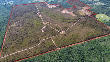 Hunting Land for sale in Bay County, Florida