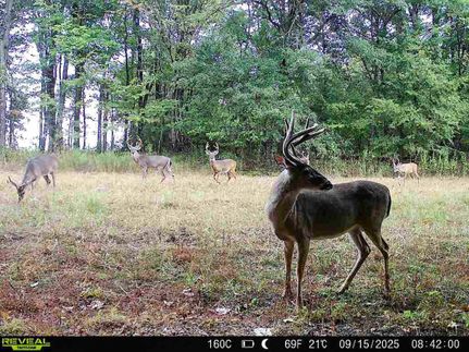 Property for sale in Panola County, Mississippi