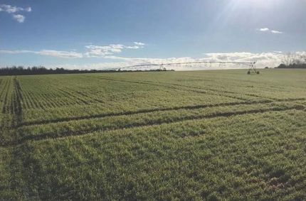 Recreational Property for sale in Sumter County, Georgia