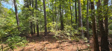 Undeveloped Land for sale in Dodge County, Georgia