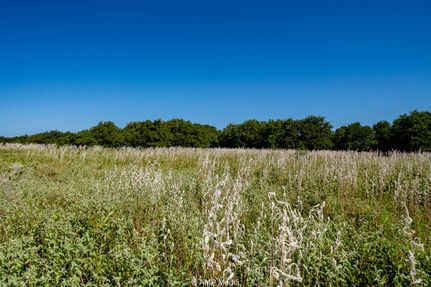 Property for sale in Eastland County, Texas