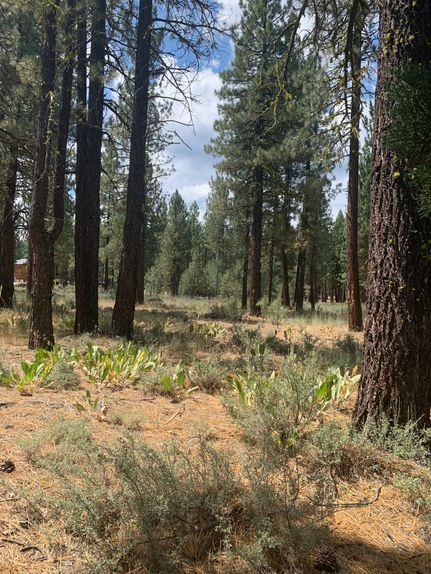 Undeveloped Land for sale in Plumas County, California