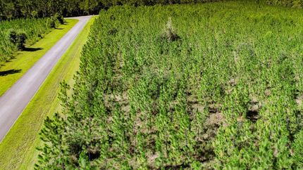 Property for sale in Liberty County, Florida