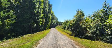 Property for sale in Mecklenburg County, Virginia