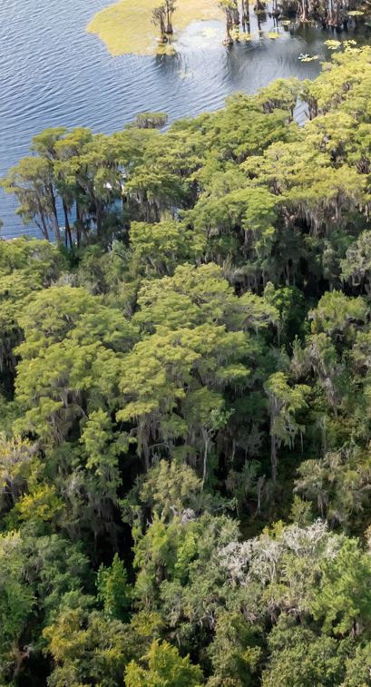 Property for sale in Alachua County, Florida