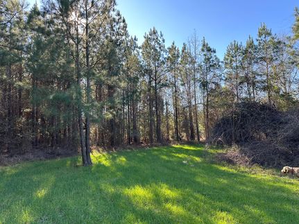 Hunting Land for sale in Houston County, Alabama
