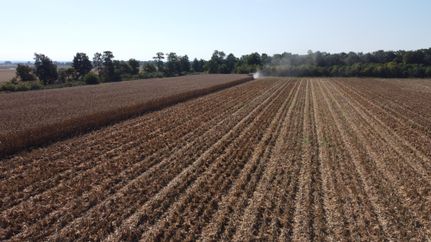 Farm Property for sale in Clay County, Arkansas