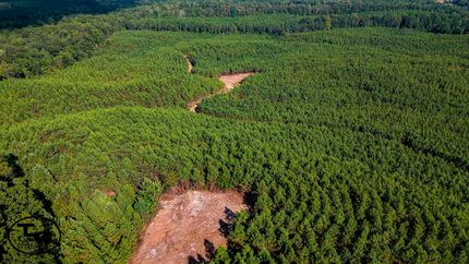 Property for sale in Chester County, Tennessee