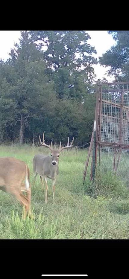 Property for sale in Erath County, Texas