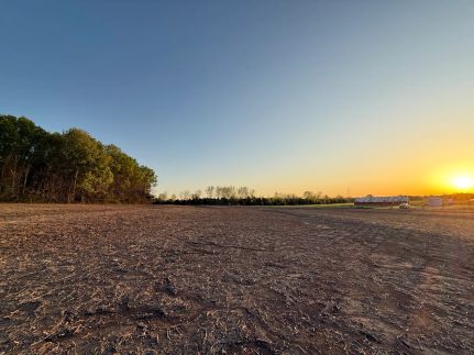 Property for sale in Lawrence County, Alabama