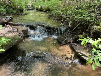 Property for sale in Marion County, Alabama