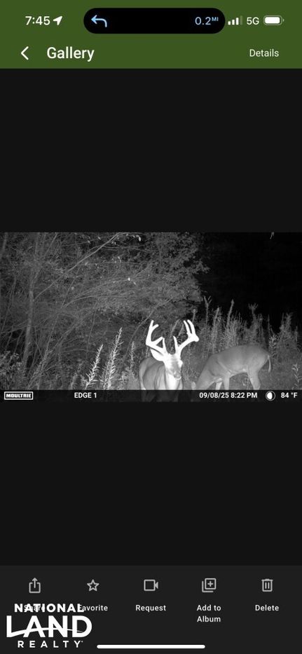 Timberland Property for sale in Blount County, Alabama