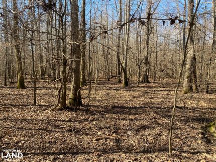 Residential Property for sale in Dallas County, Arkansas