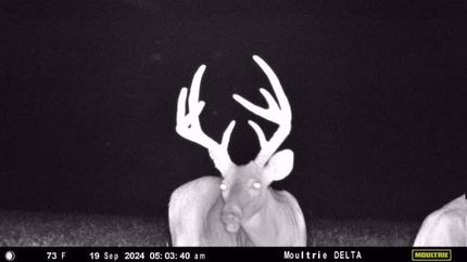 Property for sale in Colbert County, Alabama