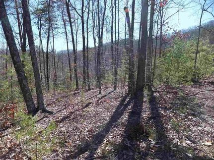Property for sale in Cocke County, Tennessee