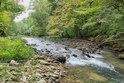 Timberland Property for sale in DeKalb County, Tennessee