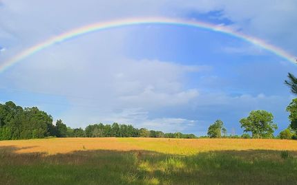 Timberland Property for sale in Chambers County, Alabama