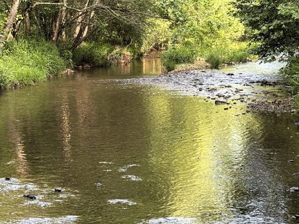 Property for sale in Hardin County, Tennessee