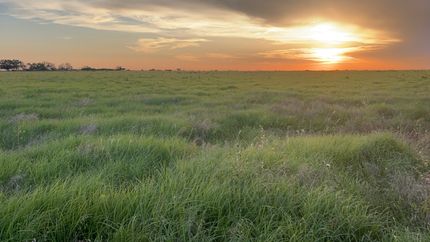 Property for sale in Throckmorton County, Texas