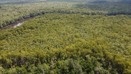 Property for sale in Livingston Parish, Louisiana