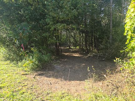 Undeveloped Land for sale in Herkimer County, New York