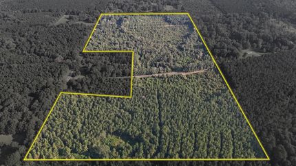 Property for sale in Union Parish, Louisiana